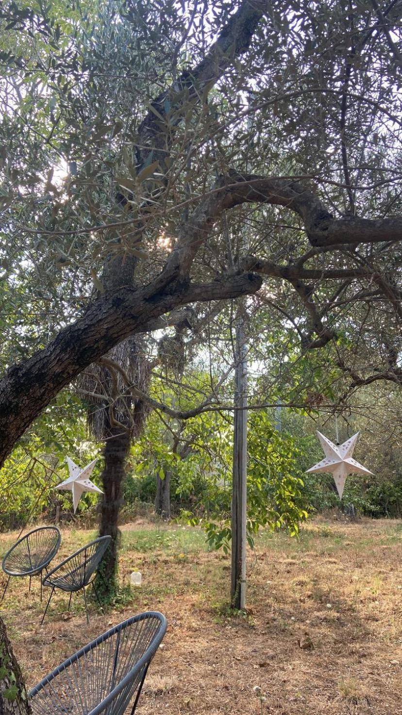 Bolsena Cento20 - Rooms & Relax Exterior foto